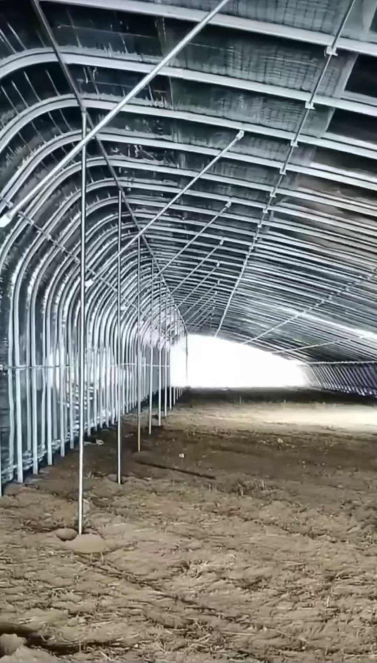 aeddf25ac5535e10e75f4e20d4856c0f.jpg